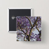 Blooming Jacaranda Trees in New Boerderij Park Vierkante Button 5,1 Cm (Voorkant /achterkant)