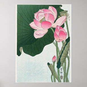 Blooming Lotus Flowers door Ohara Koson Poster