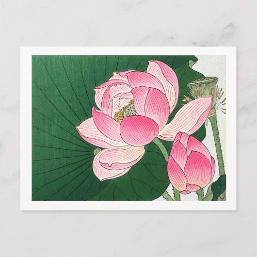 Blooming lotusbloemen - Ohara Koson - vergroot Briefkaart (Voorkant)