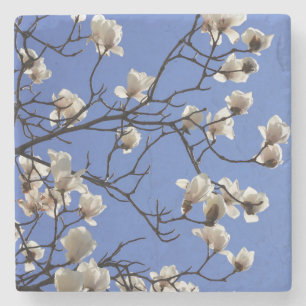 Blooming Magnolias Stenen Onderzetter