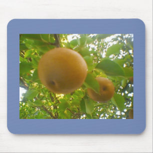 Blooming peren muismat