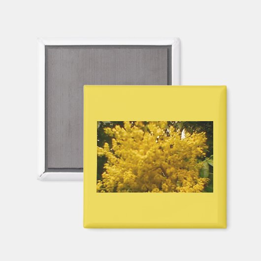 Blooming Pollen Magneet (Voorkant / Achterkant)