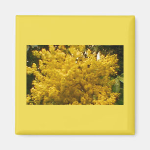 Blooming Pollen Magneet