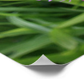 Blooming Poster (Hoek)
