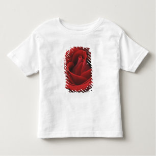 Blooming Red Rose Kinder Shirts