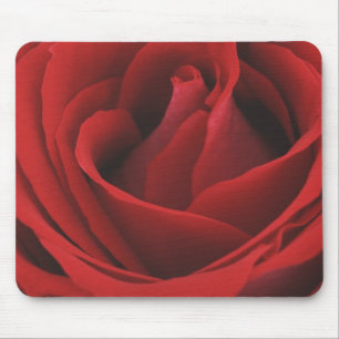 Blooming Red Rose Muismat