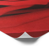 Blooming Red Rose Poster (Hoek)