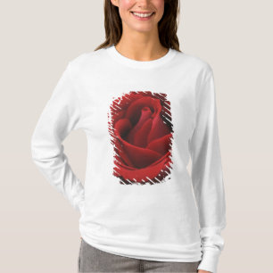 Blooming Red Rose T-shirt