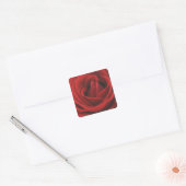 Blooming Red Rose Vierkante Sticker (Envelop)