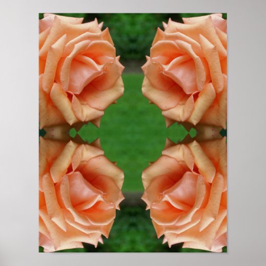 Blooming Roos Abstract Poster (Voorkant)