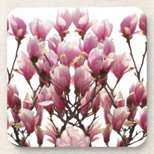 Blooming roze Magnolias Spring Flower Bier Onderzetter