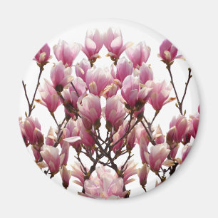 Blooming roze Magnolias Spring Flower Magneet