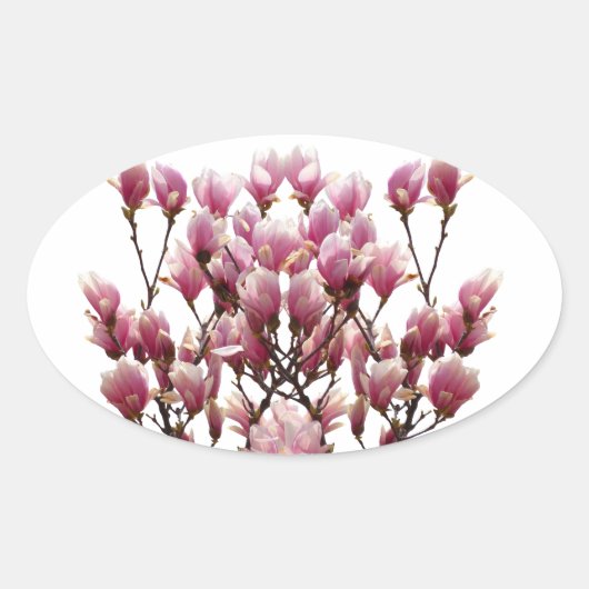 Blooming roze Magnolias Spring Flower Ovale Sticker (Voorkant)