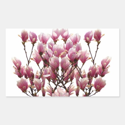 Blooming roze Magnolias Spring Flower Rechthoekige Sticker (Voorkant)