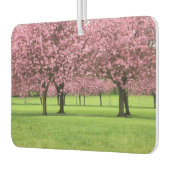 Blooming Sakura Trees Luchtverfrisser (Links)