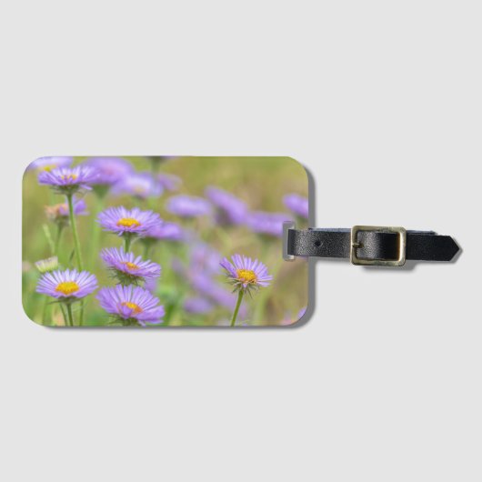 Blooming Seaside Daisies Bagagelabel (Voorkant (horizontaal))