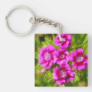 Blooming Sweet William Flowers Sleutelhanger