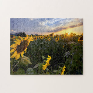 Blooming van zonnebloemen legpuzzel