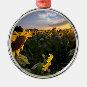 Blooming van zonnebloemen metalen ornament