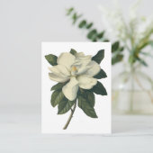  Blooming White Magnolia Blossom Flowers Briefkaart (Staand voorkant)