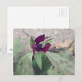 Blooming Wildflower Briefkaart (Voorkant / Achterkant)