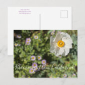 Bloomings de Californie : Carte postale du Poppy M (Devant / Derrière)