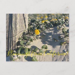 Bloomings de Californie : Carte postale Sand Verbe