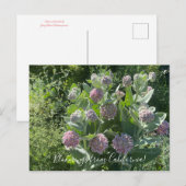 Bloomings de Californie : Carte postale Showweed M (Devant / Derrière)