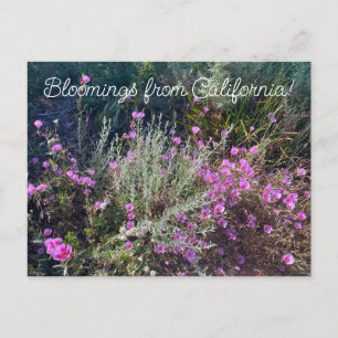 Bloomings from California: Afscheid van de lente! Briefkaart