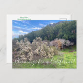 Bloomings from California : Carte postale Coyote B (Devant / Derrière)