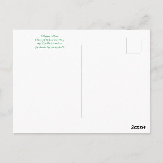 Bloomings from California : Carte postale Coyote B (Dos)