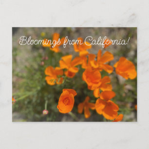 Bloomings uit Californië: April Wildbloemen Briefkaart