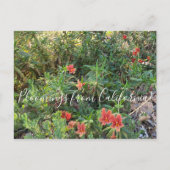 Bloomings uit Californië: Bronze Monkey Flower Briefkaart (Voorkant)