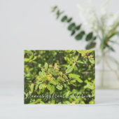 Bloomings uit Californië: Coffeeberry Briefkaart (Staand voorkant)