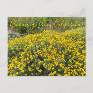 Bloomings uit Californië: Golden Yarrow Briefkaart
