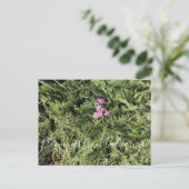 Bloomings uit Californië: Island Pink Yarrow Briefkaart (Staand voorkant)