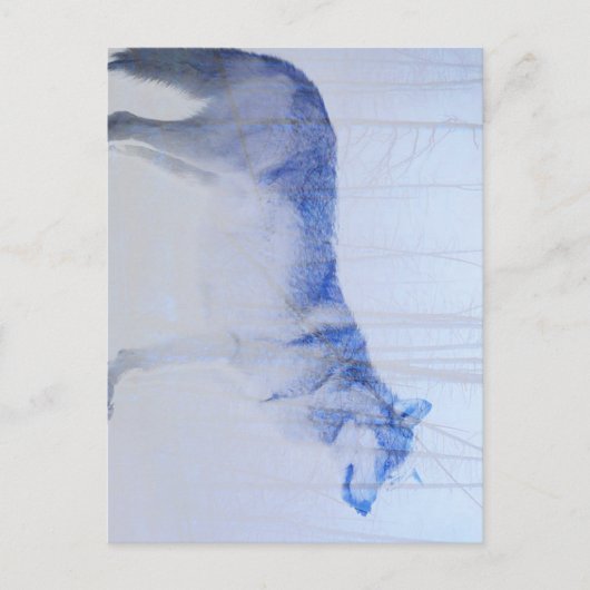 Blootgestelde Wolf Briefkaart (Voorkant)