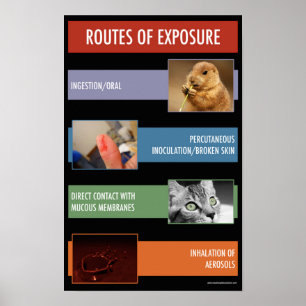 Blootstellingsveiligheidsinformatieweg Poster