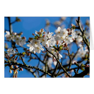 Blossingenkaart