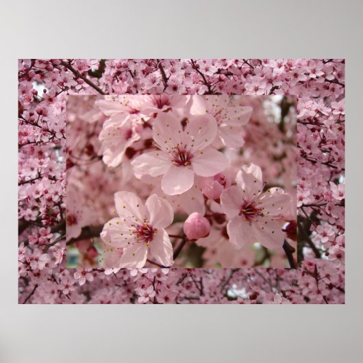 Blossom Art roze Spring Tree Prints (Voorkant)