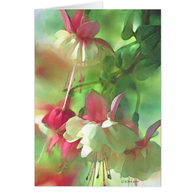 Blossom-blank (Voorkant)