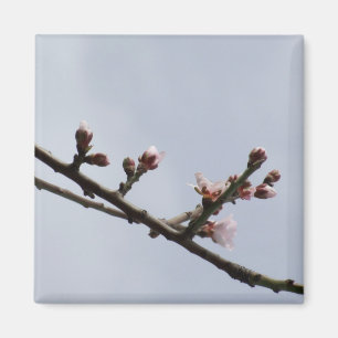 Blossom Branch Magnet Magneet