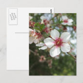 Blossom Briefkaart (Voorkant / Achterkant)