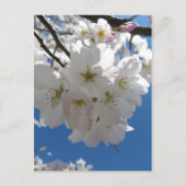 Blossom Bundle Briefkaart (Voorkant)