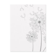 Blossom Dandelion Flowers Peace Love Destiny