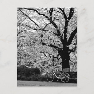 Blossom en fiets: Japan Briefkaart