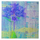 Blossom in Blue Violet Tegeltje (Voorkant)