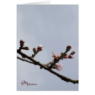 Blossom-Moederdag