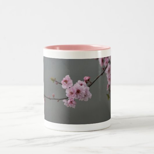Blossom-mok Tweekleurige Koffiemok (Center)