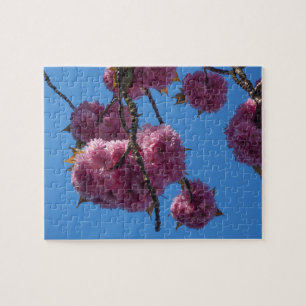 Blossom rose, Ciel bleu - Puzzle
